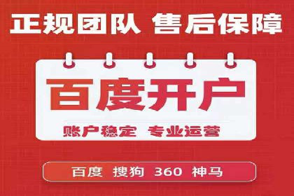 SEM代理服务：案例分享，效果显著