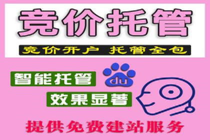 SEM服务托管：提升广告效果的成功案例解析